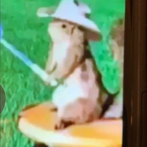 Meet your Posher, Cesar